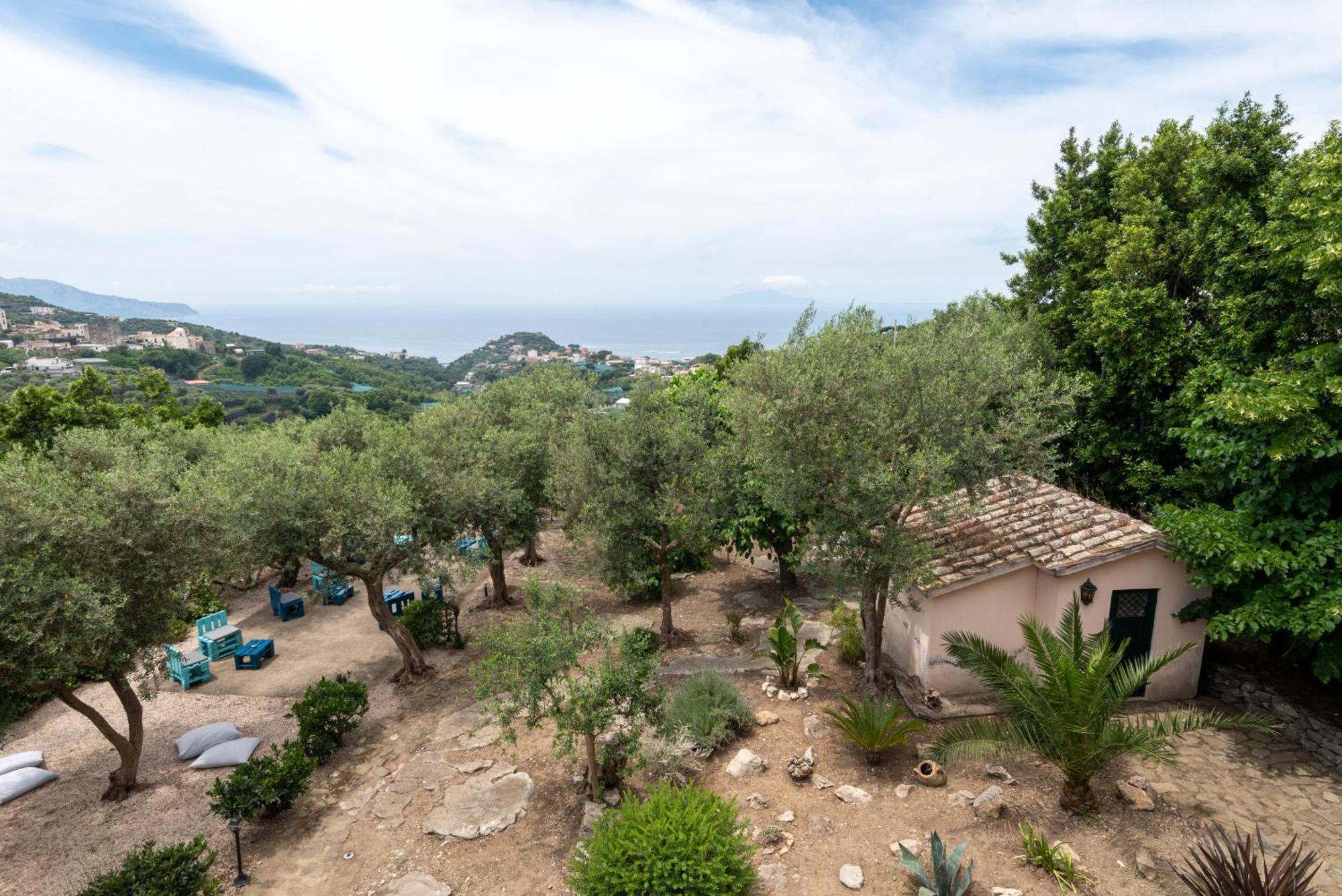 Villa Il Turro Massa Lubrense Extérieur photo
